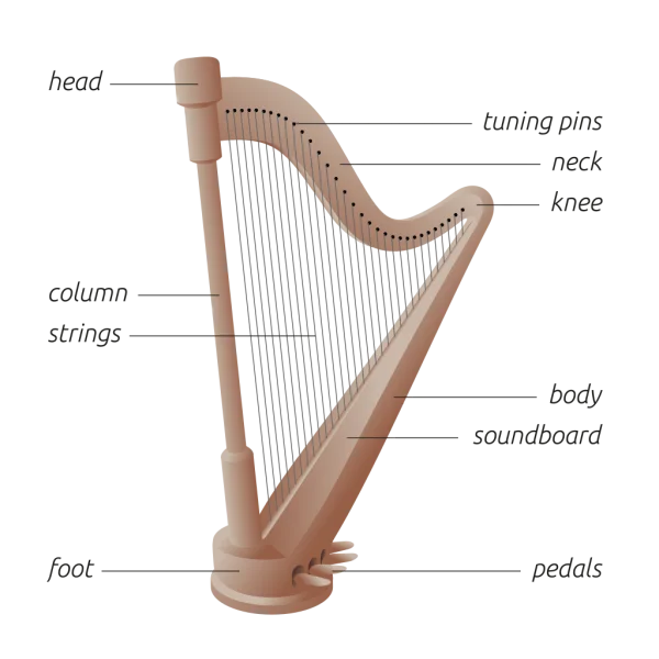 Harp Diagram with Labeled Parts PNG Transparent Background