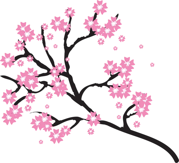 Pink Cherry Blossom Branch PNG Transparent Background