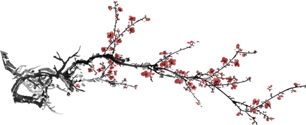 Plum Blossom Branch PNG Transparent Background