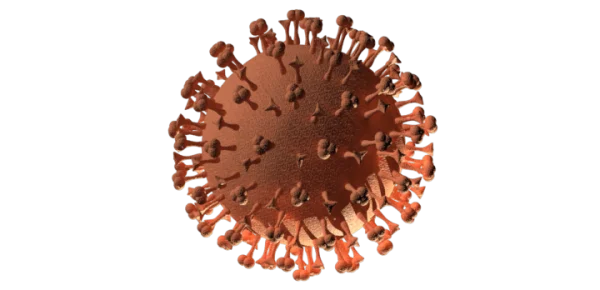 Coronavirus COVID-19 3D Model PNG