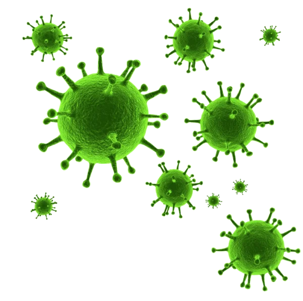 Green Virus Cells PNG Transparent Background