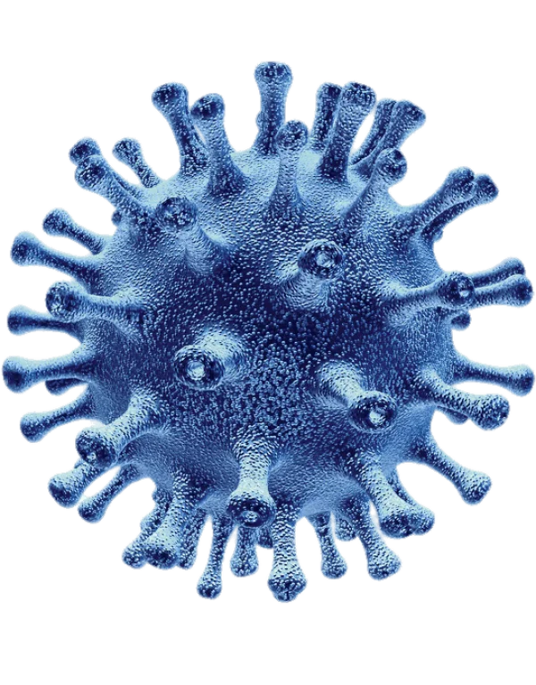 Blue Virus Cell Microbe PNG Transparent Background