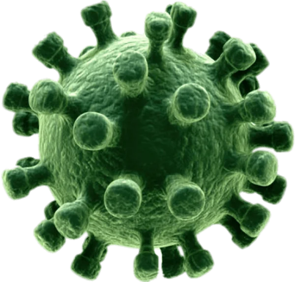 Green Coronavirus Cell 3D Render PNG