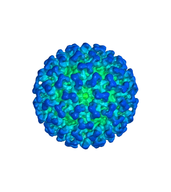 Icosahedral Virus Capsid PNG Transparent Background