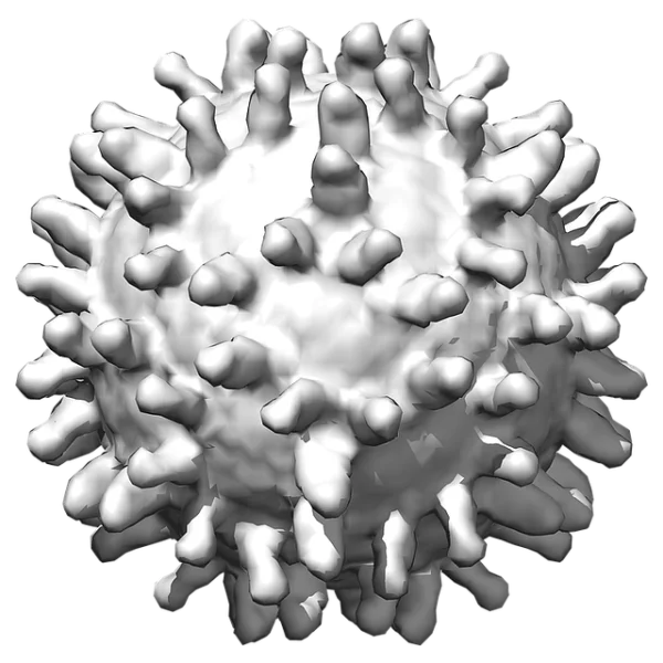 3D Spiky Cell Render PNG Transparent Background