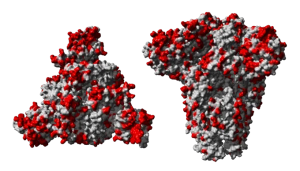 3D Rendered Molecular Structures PNG Transparent Background