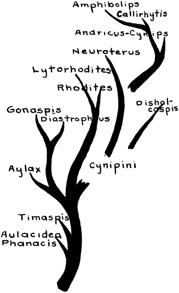 Solid Black Background PNG Transparent