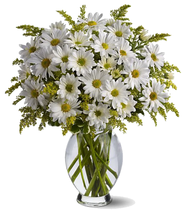 White Daisy Bouquet in Glass Vase PNG Transparent