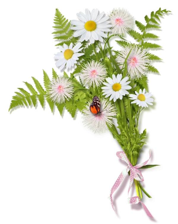 Daisy and Fern Bouquet with Butterfly PNG Transparent Background