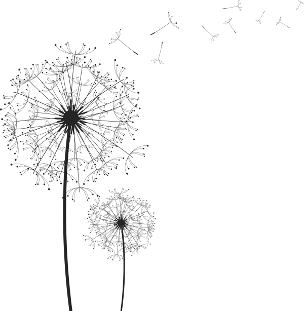 Mysterious Magician Silhouette PNG Transparent Background