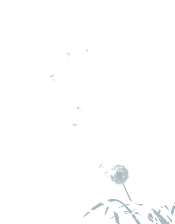 Dandelion Seeds Blowing in Wind PNG Transparent Background