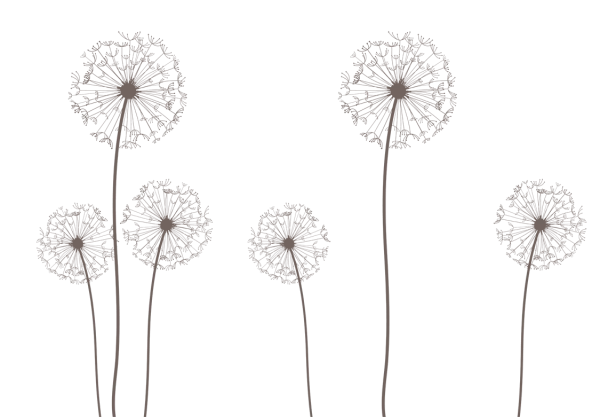 Brown Dandelion Silhouettes PNG Transparent