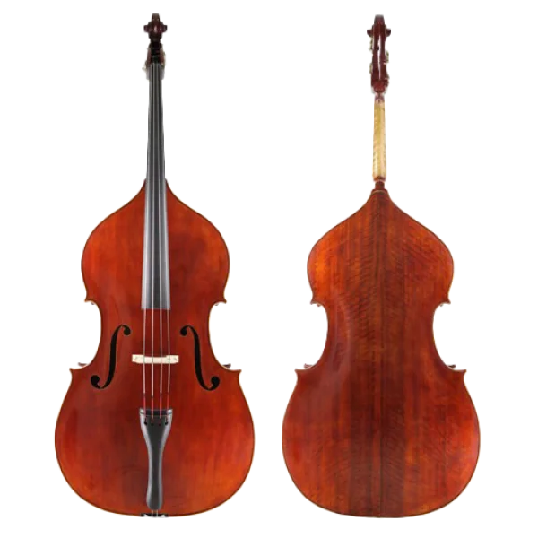 Double Bass Musical Instrument Front and Back PNG