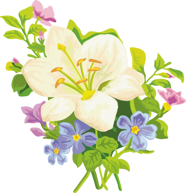 Colorful Flower Bouquet PNG Transparent Background