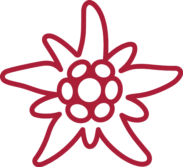 Red Edelweiss Outline Icon PNG Transparent Background