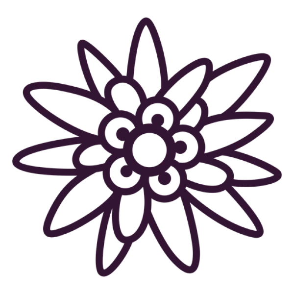 Purple Outline Flower Edelweiss Style PNG