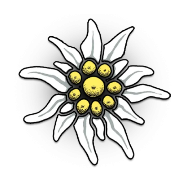 Stylized Edelweiss Flower PNG Transparent