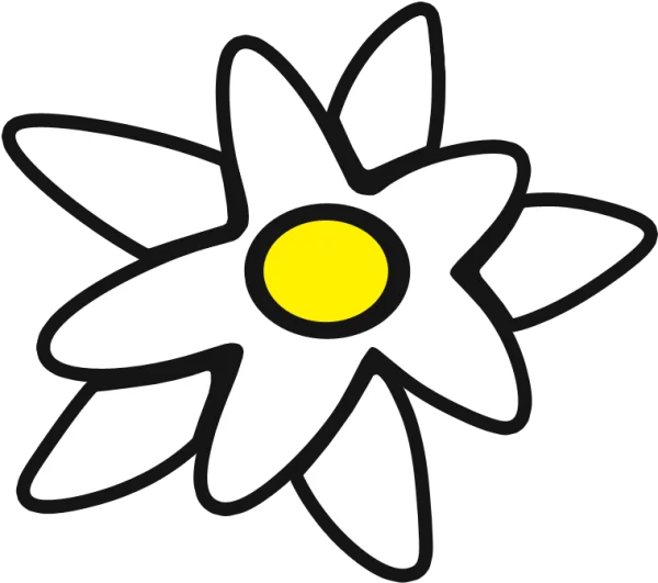 Cartoon Edelweiss Flower Icon PNG Transparent Background
