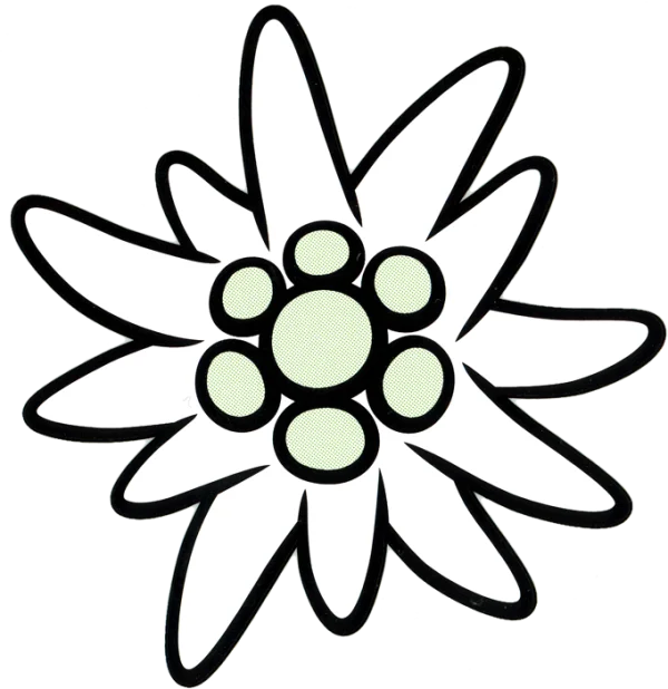 Edelweiss Flower Icon PNG Transparent Background