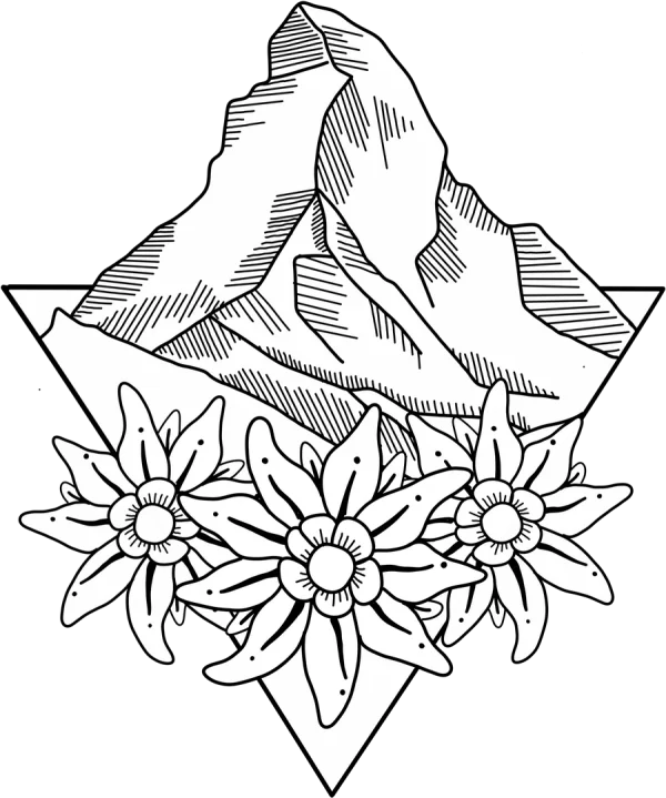 Edelweiss Flowers and Mountain Line Art PNG