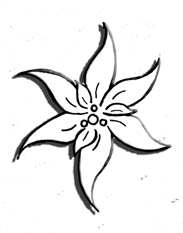 White Stylized Flower PNG Transparent Background