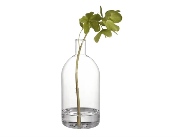 Plant in Glass Vase PNG Transparent Background