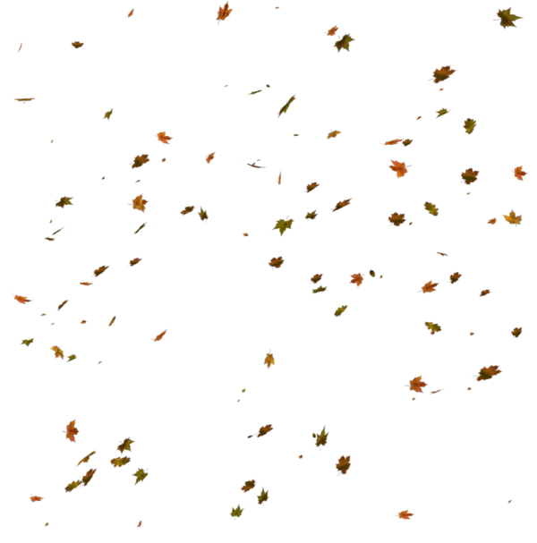 Falling Autumn Leaves PNG Transparent Background
