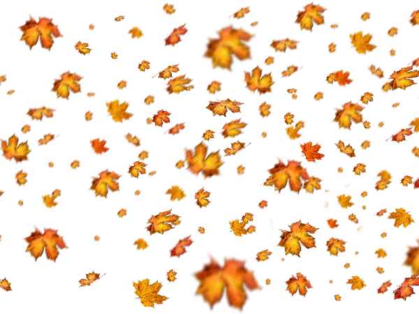 Falling Autumn Leaves PNG Transparent Background