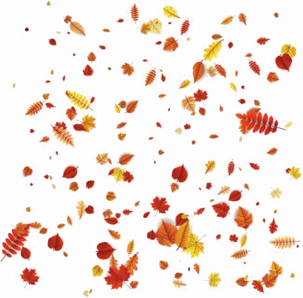 Falling Autumn Leaves Transparent PNG