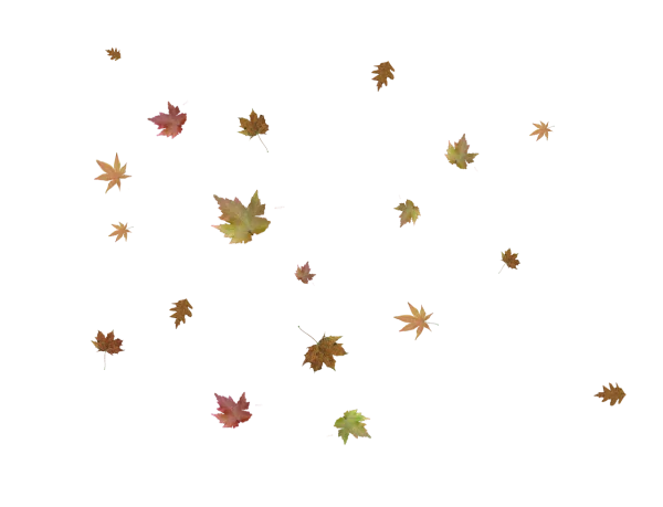 Falling Autumn Leaves PNG Transparent Background