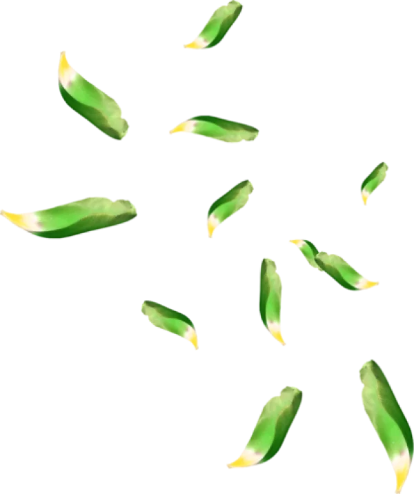 Falling Green Leaves PNG Transparent Background