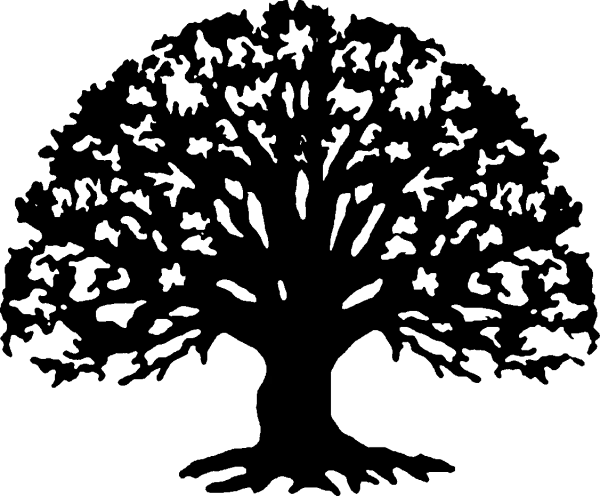 Completely Black PNG Image