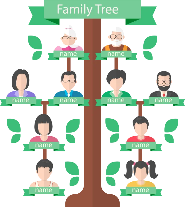 Flat Design Family Tree Diagram PNG Transparent