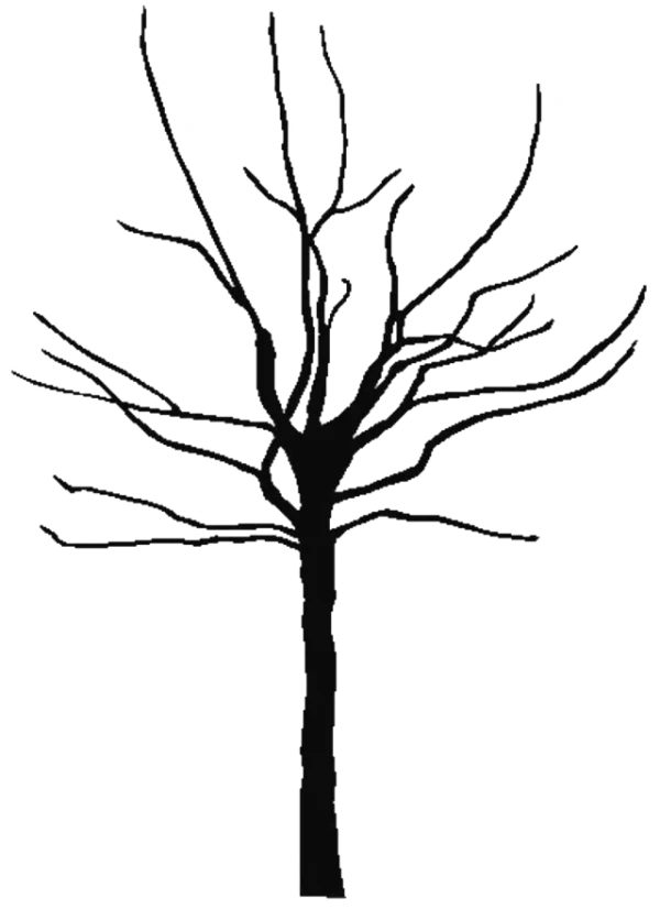 Bare Tree Silhouette PNG Transparent Background