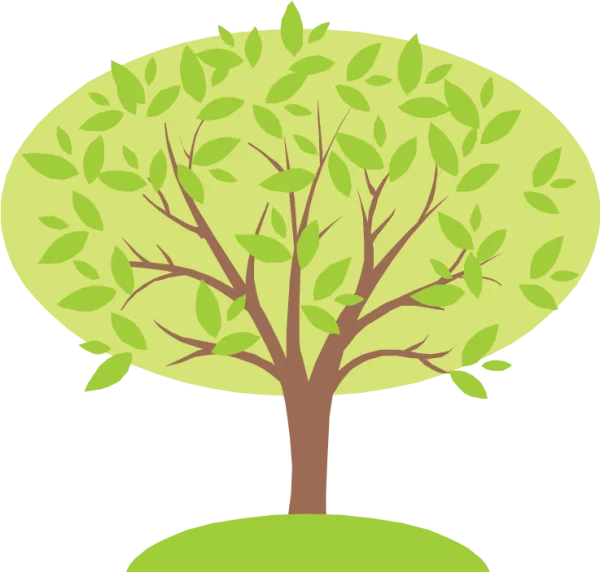 Stylized Green Tree with Transparent Background