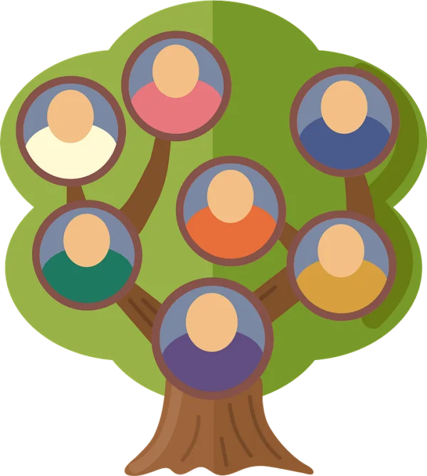 Stylized Family Tree Diagram PNG