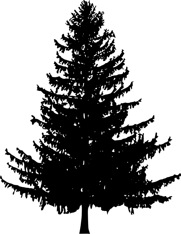 Pine Tree Silhouette PNG Transparent Background