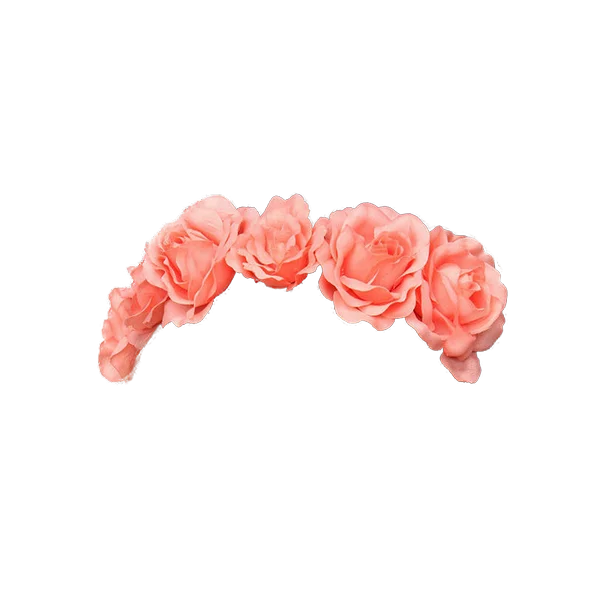 Pink Rose Flower Crown PNG Transparent