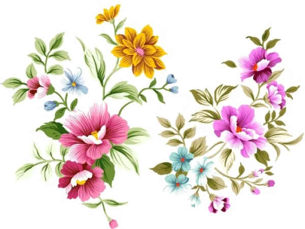 Vibrant Floral Arrangements PNG Transparent Background