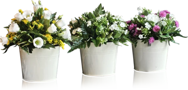 Three Flower Pots with Assorted Blooms PNG