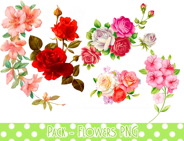 Beautiful Floral Arrangements Pack PNG