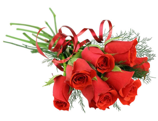 Red Rose Bouquet with Red Ribbon PNG Transparent Background