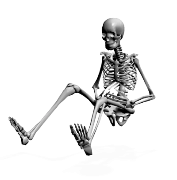 Sitting Human Skeleton 3D Render PNG
