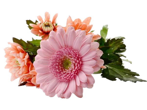 Pink Gerbera and Peach Flower Bouquet PNG