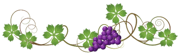 Decorative Grapevine with Purple Grapes PNG Transparent