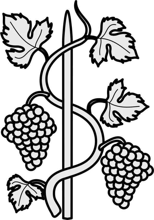 Stylized Grapevine and Grapes PNG