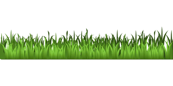 Green Grass Border PNG Transparent Background