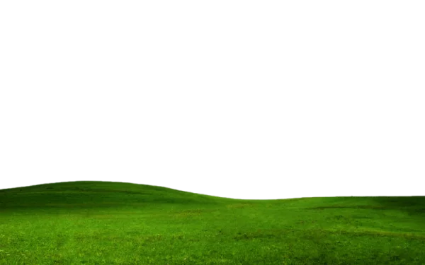 Green Grassy Hill Transparent Background
