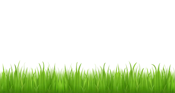 Green Grass Transparent Background PNG