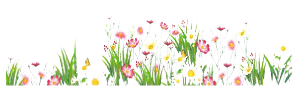 Colorful Spring Flowers and Grass PNG Transparent